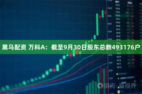 黑马配资 万科A：截至9月30日股东总数493176户