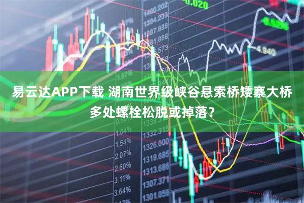 易云达APP下载 湖南世界级峡谷悬索桥矮寨大桥多处螺栓松脱或掉落？